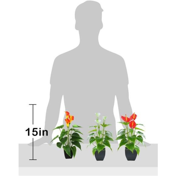 Artificial Flower Plants Calla Lily Faux Small Potted Plant with Black Pot Fake - Picture 2 of 6